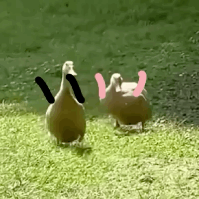 小布說天氣 | 小寒至，春可期！