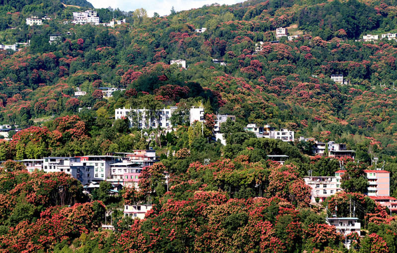 2025影像盤點 | 追逐光影 留住鄉愁——攝影師 李詩素