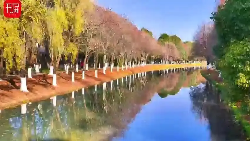 【開屏早知道】官宣！昆明住房公積金貸款利率下調！