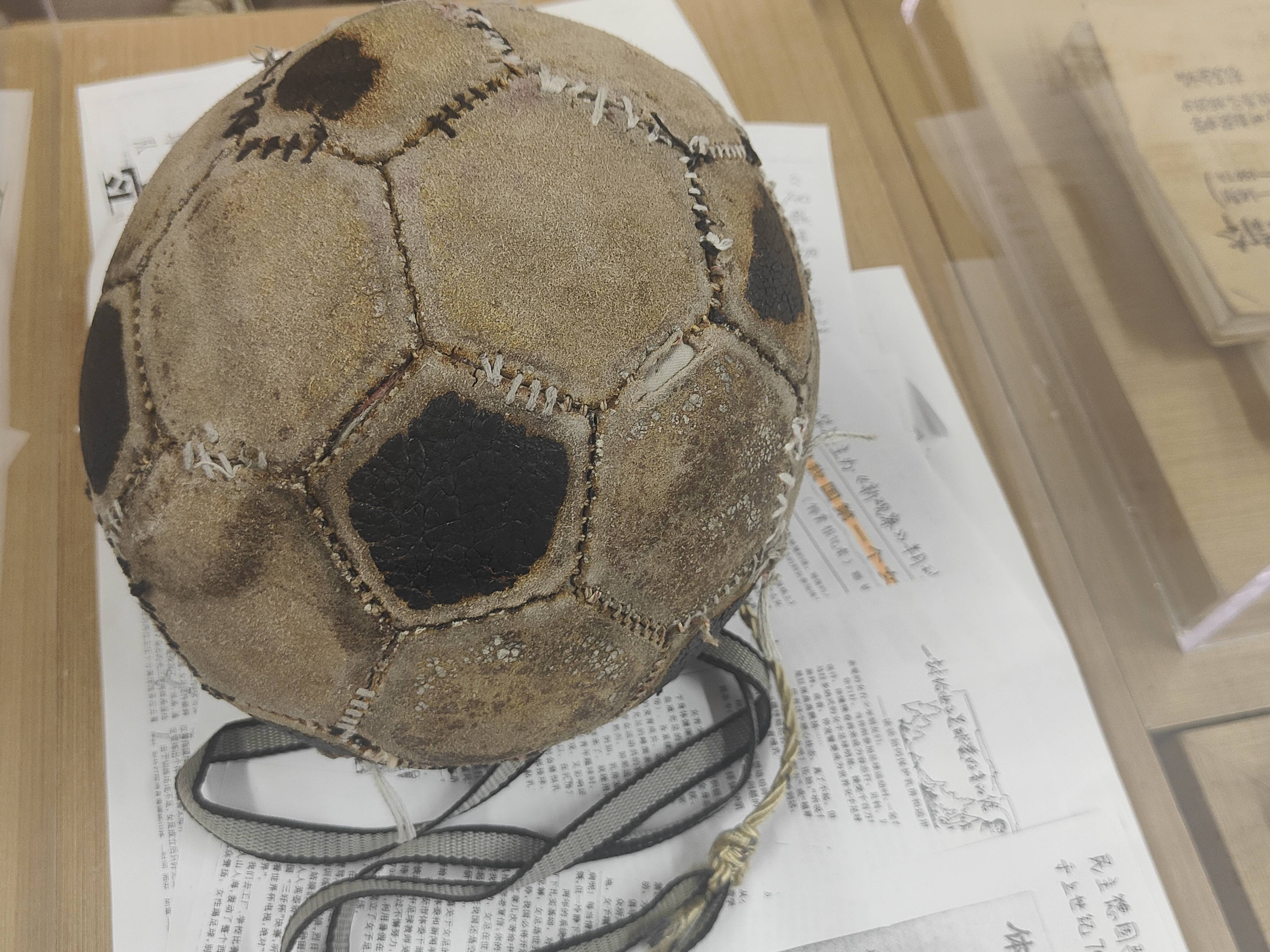 追光 | 請國手帶訓練，選社團挑花眼……中學體育發展有妙招