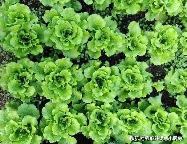 原創女子把香蕉插進苦瓜裡做美食，既好看又上檔次，連飯店大廚都佩服