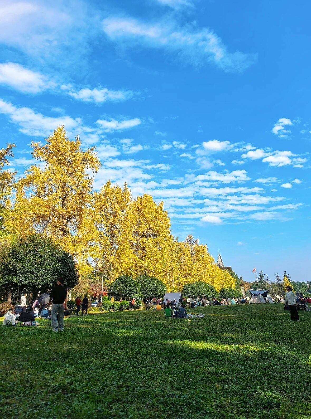 收藏！都江堰幸福感爆棚的曬暖好去處