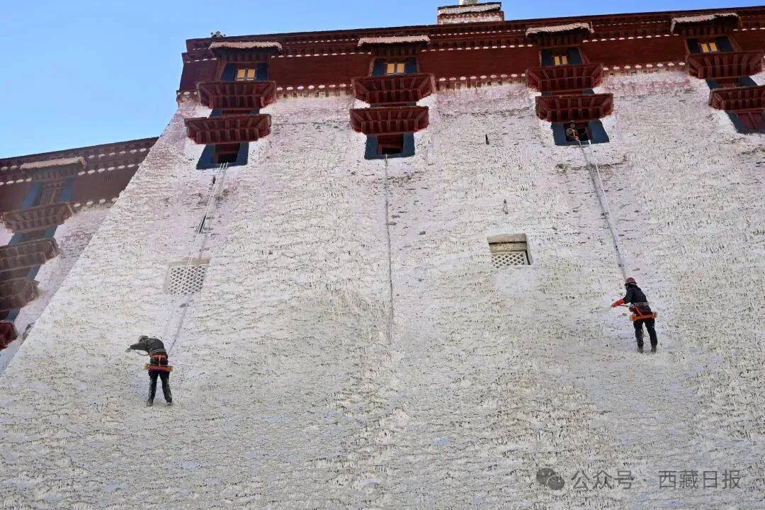 布達拉宮開始年度“美容”啦！